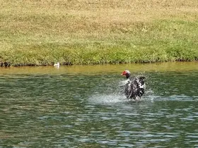 Park-2019-06