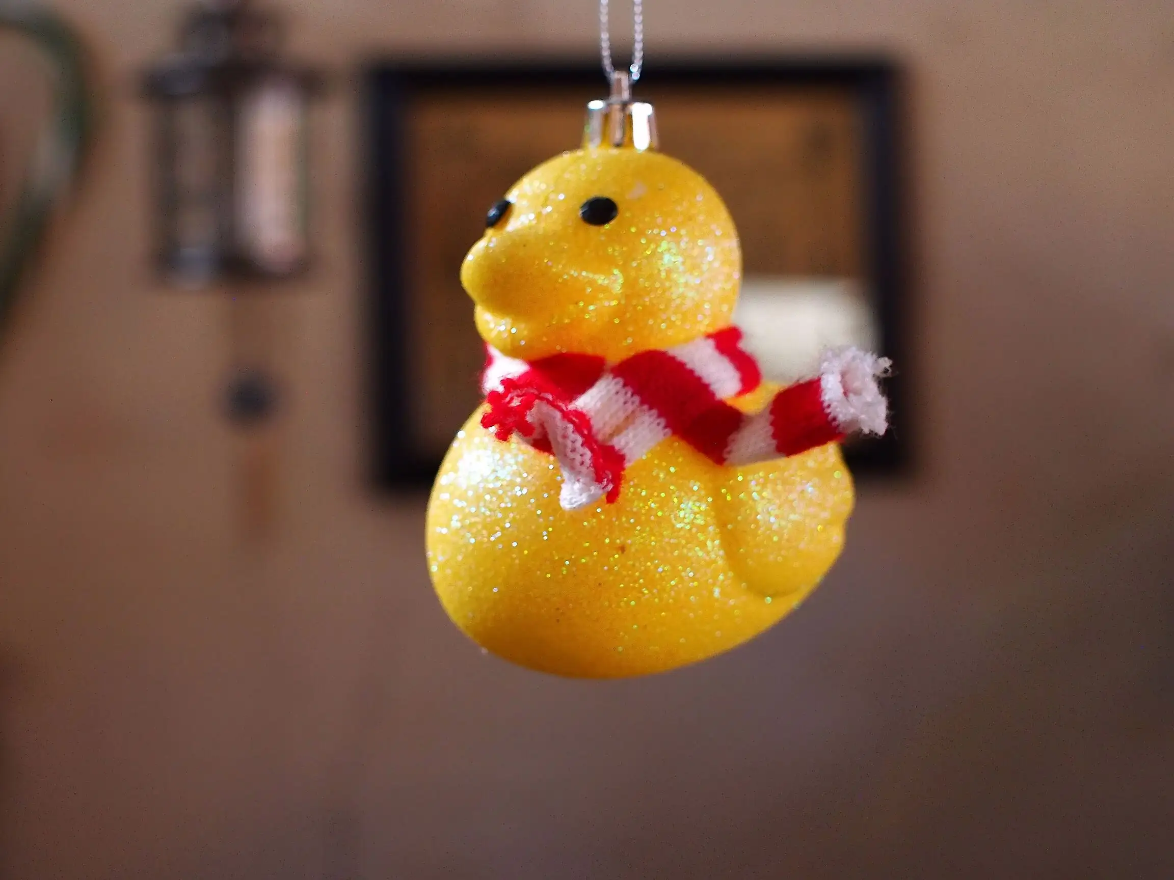 Holiday Duck!